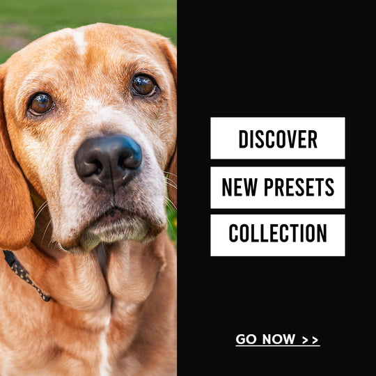 New products