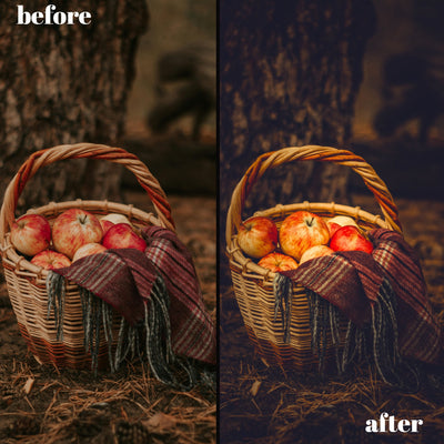 Autumn Glow: 30 Desktop + 15 Mobile Lightroom Presets for Perfect Fall Photos