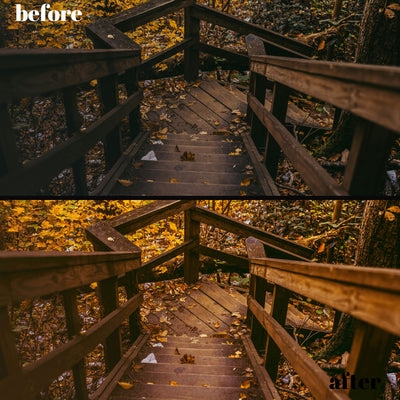 Autumn Glow: 30 Desktop + 15 Mobile Lightroom Presets for Perfect Fall Photos
