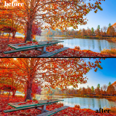 Autumn Glow: 30 Desktop + 15 Mobile Lightroom Presets for Perfect Fall Photos