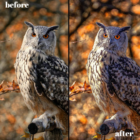 Unlock Pro HDR Premium: The Ultimate Lightroom Preset Collection – 30 Desktop + 15 Mobile Presets for Masterpiece Photography