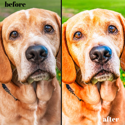 Unlock Pro HDR Premium: The Ultimate Lightroom Preset Collection – 30 Desktop + 15 Mobile Presets for Masterpiece Photography