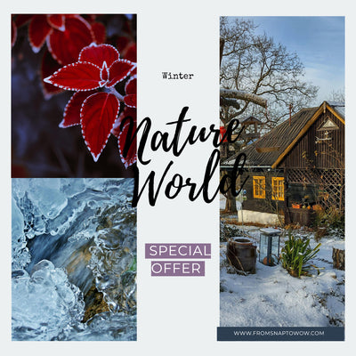 Winter Wonderland Presets: 30 Desktop; 15 Mobile Lightroom Filters for Crisp, Cool Tones