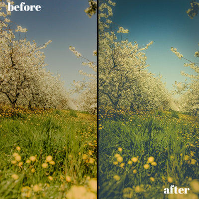 Spring Renewal Presets: 30 Desktop & 10 Mobile Lightroom Filters for Fresh, Vibrant Photos