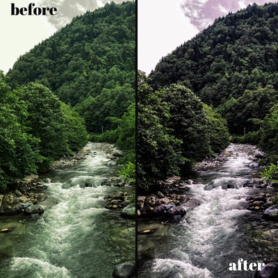 Spring Renewal Presets: 30 Desktop & 10 Mobile Lightroom Filters for Fresh, Vibrant Photos
