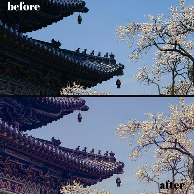 Four Season Master Bundle: 120 Desktop & 60 Mobile Lightroom Presets for Year-Round Photography