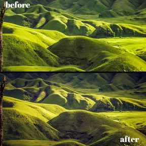 Summer Glow & Radiance: 30 Desktop & 15 Mobile Lightroom Presets for Vibrant Seasons