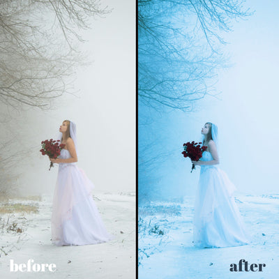 Wedding Seasons Preset Pack: Elevate Your Wedding Photography with 28 Lightroom Presets for Spring & Fall Magic