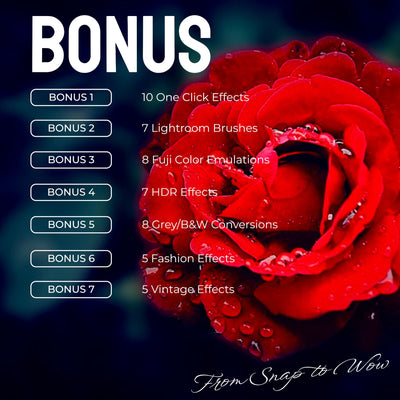Wedding Day Ultimate Collection: 275+ Desktop & 115+ Mobile Lightroom Presets + 40+ Bonus Filters – Your All-In-One Solution!
